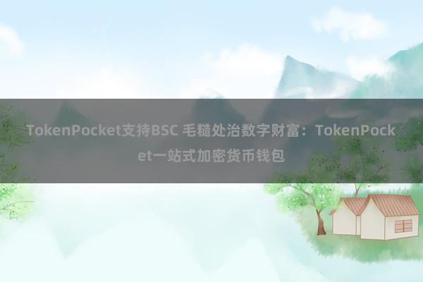 TokenPocket支持BSC 毛糙处治数字财富：TokenPocket一站式加密货币钱包